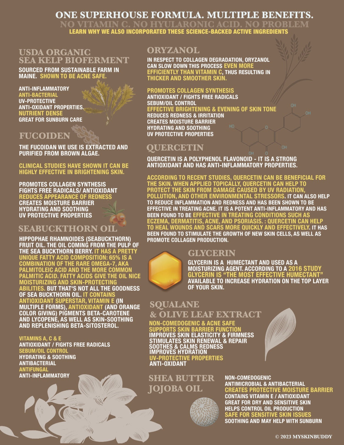 Bee Bright All Day Serum